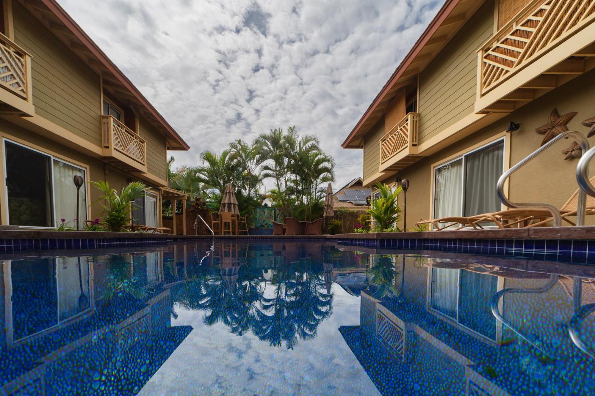 Lotus Suite, 1 Bedroom, Sleeps 4, Pool & Bbq, Pre-Renovation Summer Sale Кихеи Екстериор снимка